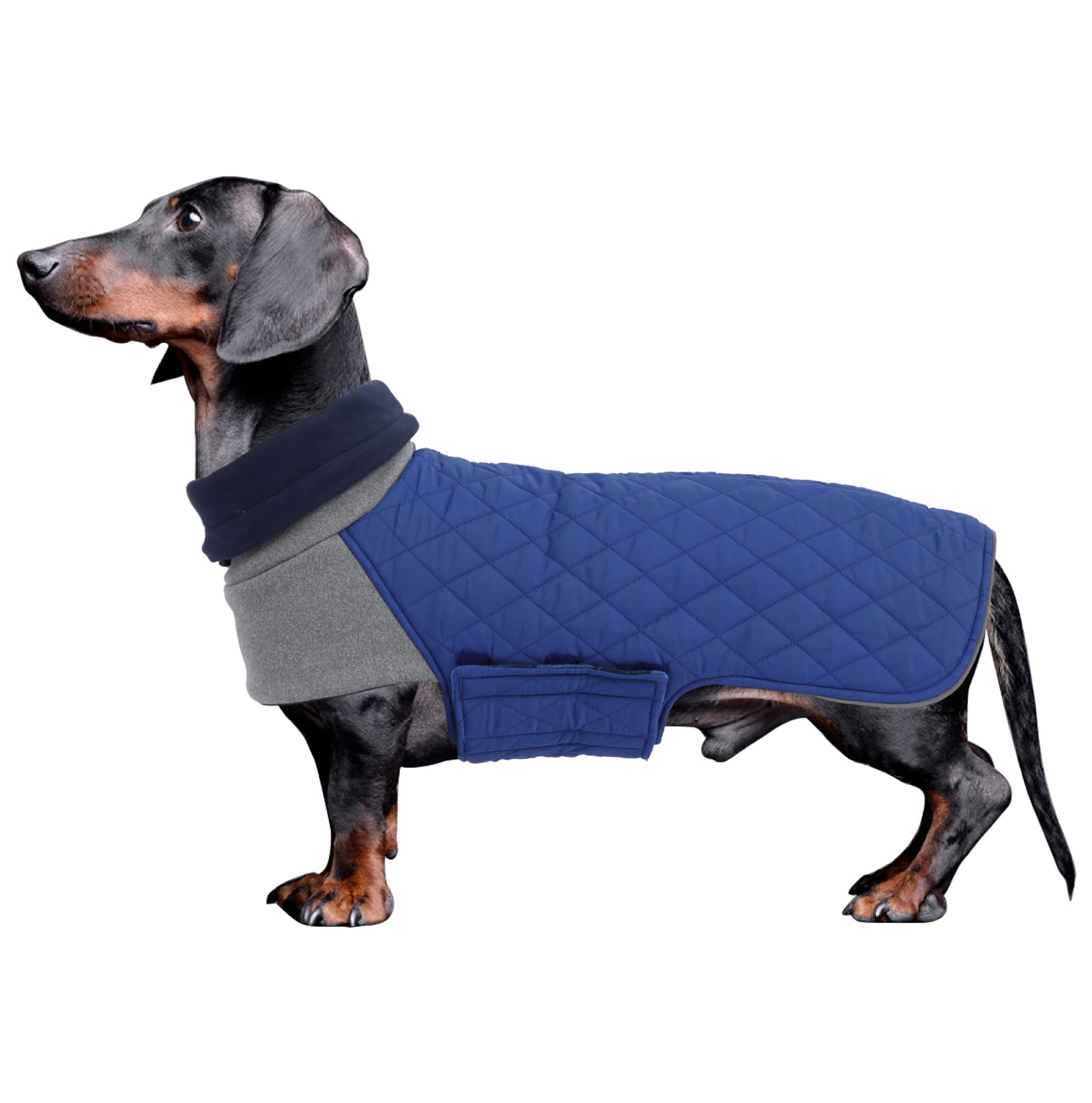 Geyecete Dachshund Winter Coat - Warm, Waterproof, Windproof Jacket With High Neckline String Holes for Small Dogs - Blue - XL