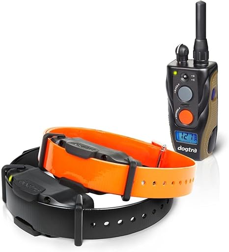 2 dog training collar system Clearance