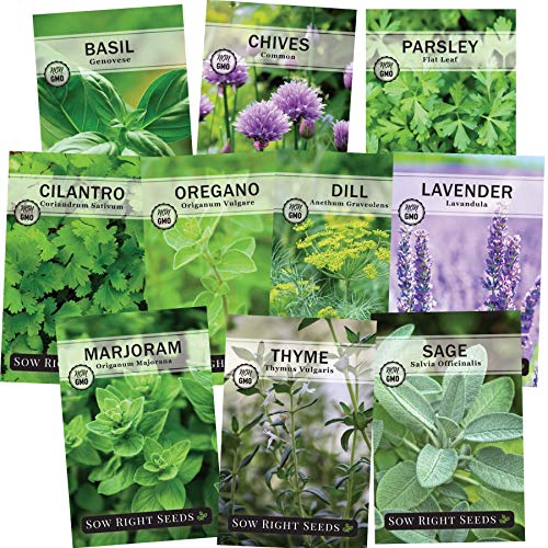 Sow Right Seeds - Herb Garden Seed Collection - Basil, Chives, Parsley, Cilantro, Oregano, Dill, Lavender, Marjoram, Sage & Thyme; Non GMO Heirloom; Instructions for Planting Outdoor or Indoor Garden