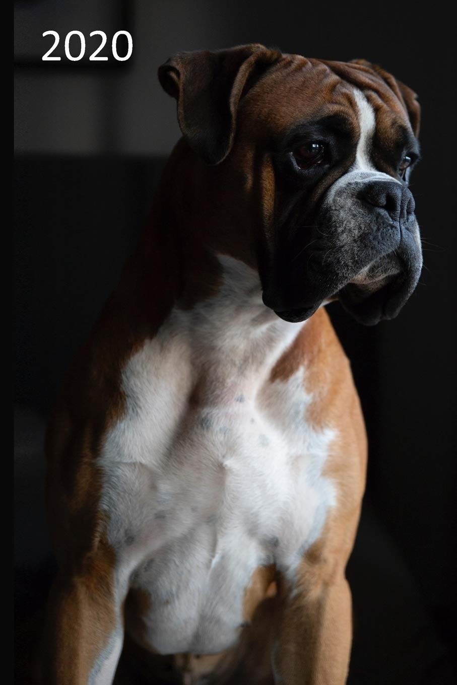 2020: Dog Diary, Planner, Agenda - Week Per View - Gift for Dog Lover - BOXER