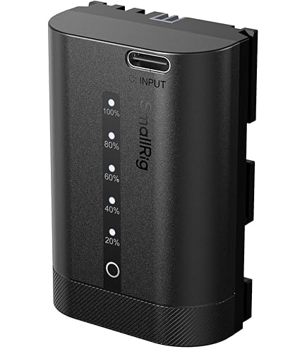 Amazon.com : Kastar 2-Pack NP-FZ100 Rechargeable Li-ion Battery