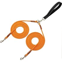 Amazon.com: JDIDNEID Correa doble para perro de 8 pies, correa de ...