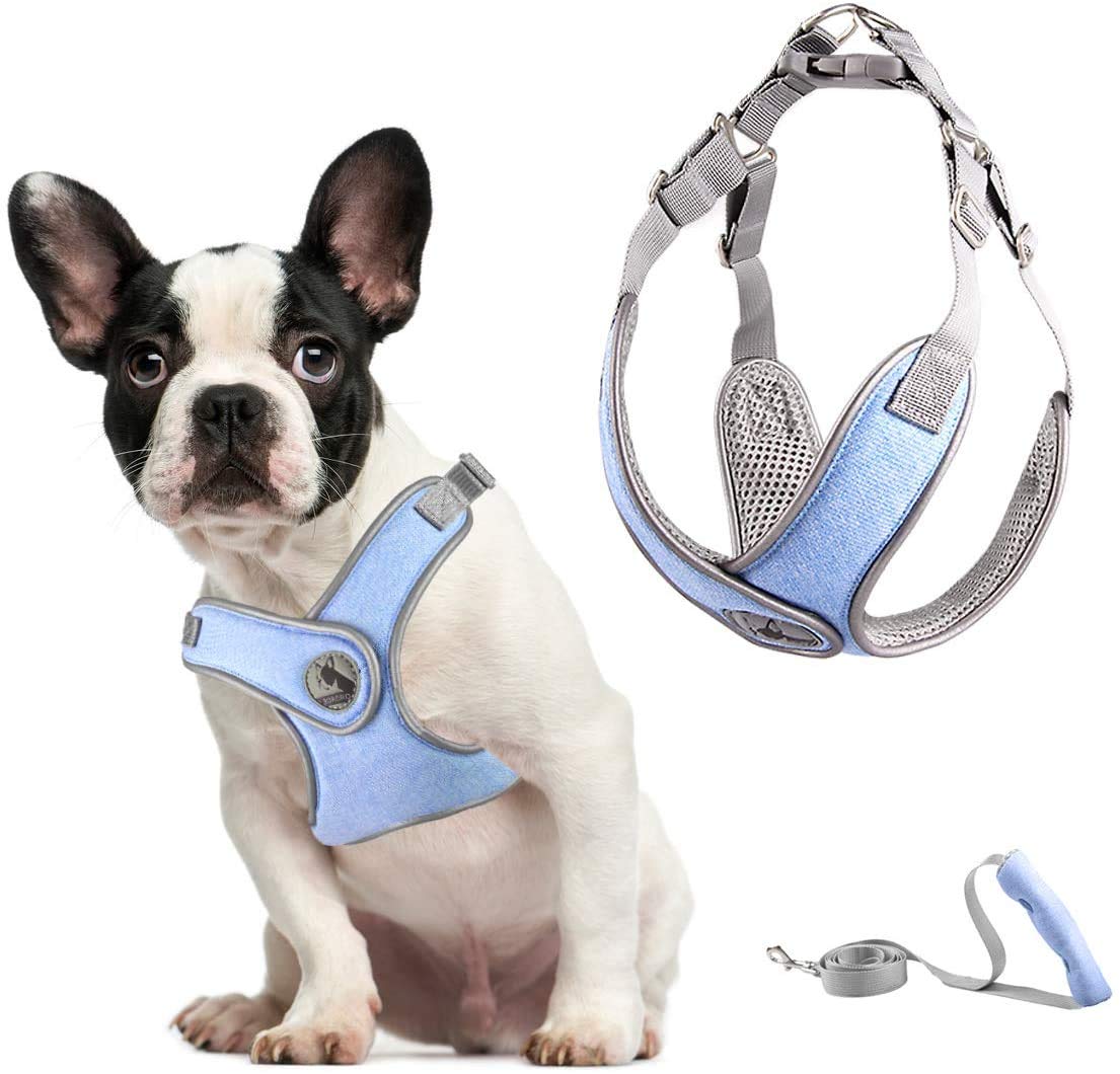 ABRRLO Pet Dog Harness for Small Medium Dogs Reflective Harness Vest Air Mesh Adjustable Dog Harness Soft Padded Breathable (XS, Blue)