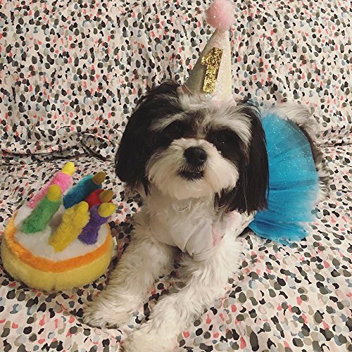 Petsidea Glitter Dog First Birthday Cone Hat Mini Doggy Cat Kitty Birthday Party Hats (White)