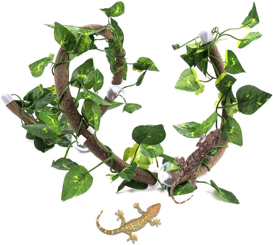 Hffheer Reptile Climbing Branch Flexible Reptile Vines Jungle Terrarium Rattan Pet Habitat Decor with Suction Cups and Realistic Leaf for Chameleon Lizards Gecko(3.28ft Rattan+Scindapsus Leaves) - Image 4