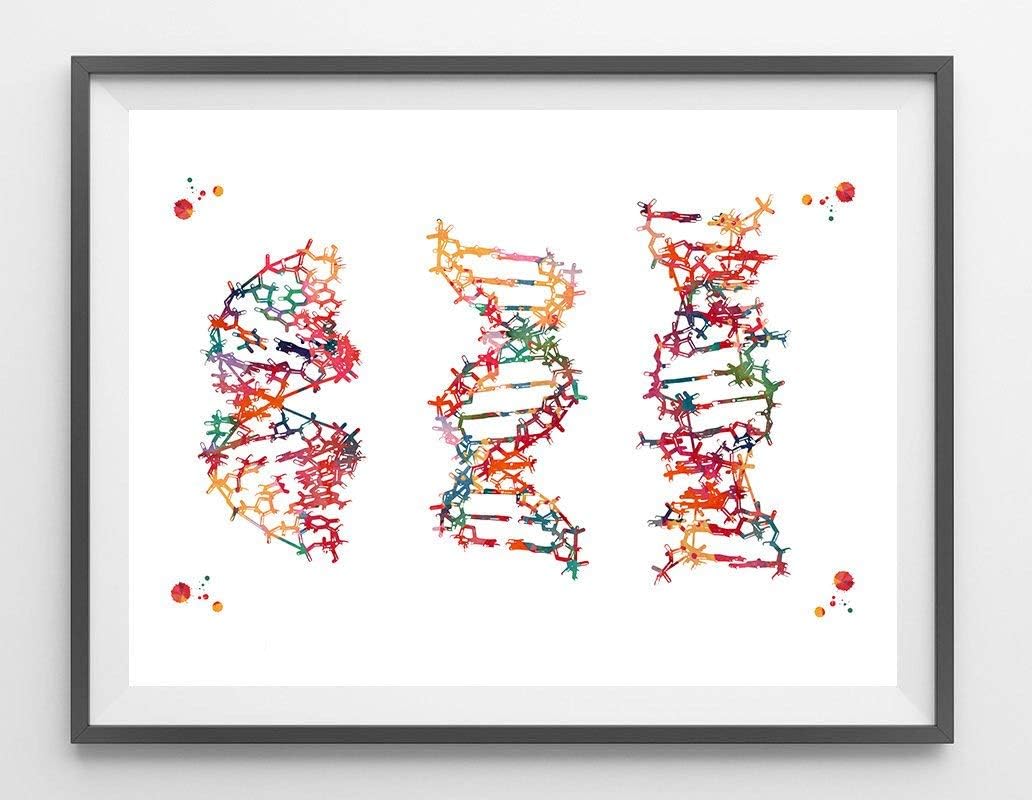 Download Strand wall art amazon For Android Free Strand Wall Art Amazon