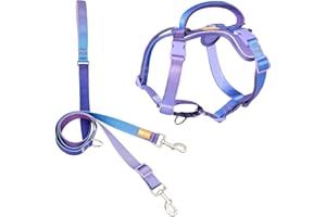 DF Freedom No Pull Martingale Dog Harness and Leash Set, Front Clip Adjustable Harness with Reflective & Padded Handle, Easy Walking & Training, Rainbow, 1", Chest 24.4" - 32.4"