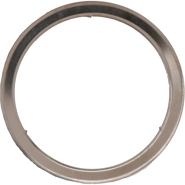 Amazon.com: MAHLE F32742 Catalytic Converter Gasket : Automotive