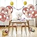 Large Rose Gold Confetti Balloons Decorations - 18 inch - Pack of 20 | Pre-filled Rose Gold Confetti Metallic Latex Party Balloons | Great for Weddings, Birthday Party, Bridal Shower, Party Decoration