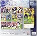 Turner Licensing Sport 2017 NFL Elite Wall Calendar, 12