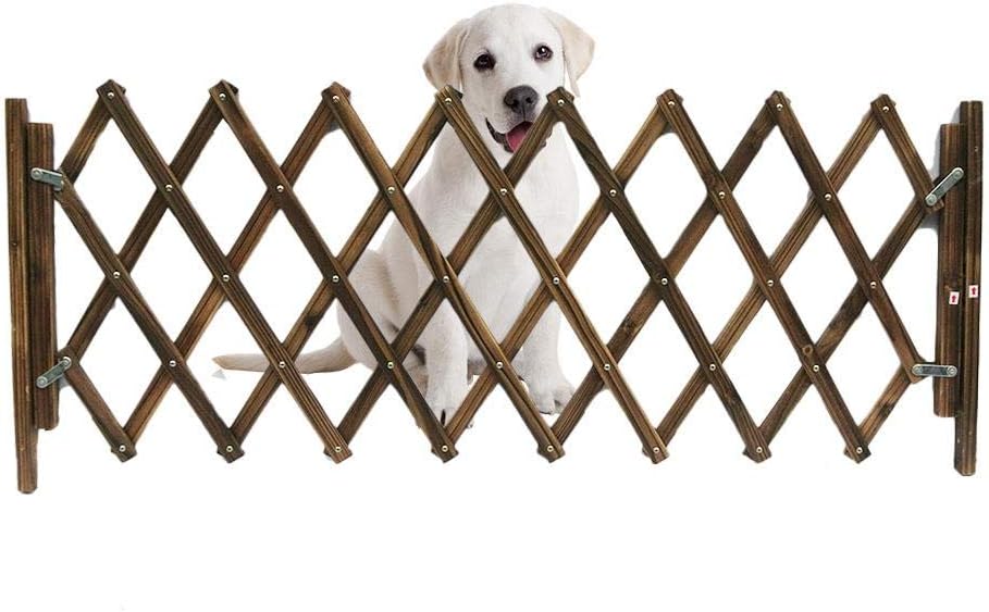 movable gate for dogs