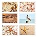 BEST PAPER GREETINGS 40-Count Beach Postcards - 4 x 6 in 250gsm Glossy Cardstock, Beige, Brown & Orange - 20 Assorted Nautical Seaside Designs - USPS Ready