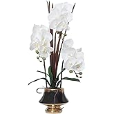 CXGS Orchids Artificial Flowers Real Touch Fake Flower in Ceramic Pot 20" White Faux Orchid Plant Lifelike Silk Phalaenopsis for Centerpiece Hotel Home Indoor Decor