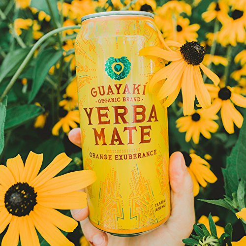 Organic Yerba Mate, Orange Exuberance - Image 5
