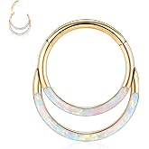 FUNLMO 316L Surgical Steel Septum Ring Double Hoop Nose Ring Daith Tragus Helix Rook Conch Piercing Jewelry Cartilage Hoop Earring