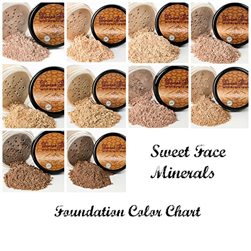 2 Pc FOUNDATION with FACE BRUSH Kit Mineral Makeup Set Bare Skin Sheer Powder Cover (Warm (Neutral-most popular))