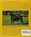 Training Your Labrador Retriever: Veterinarian-Approved Training Book for Yellow, Chocolate, and Black Labrador Retriever Puppies and Older Dogs (Training Your Dog Series)
