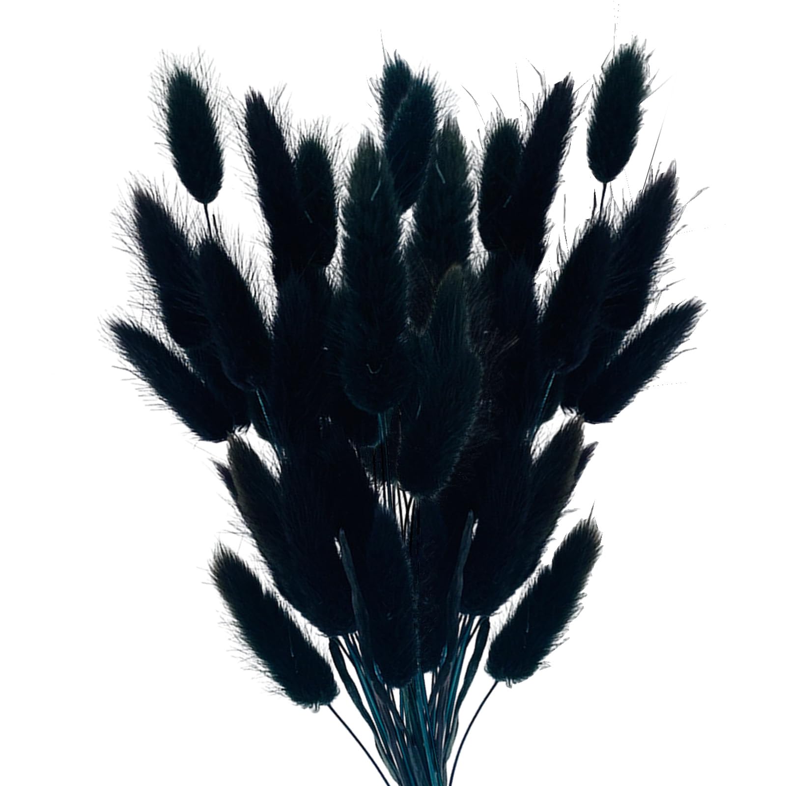 Vellivar Black Bunny Tails Pampas Grass Home Decor Dried Grasses for Vases Cake, 50pcs Rabbit Tails Bouquet Small Dried Flowers Table Decoration Room — image 1
