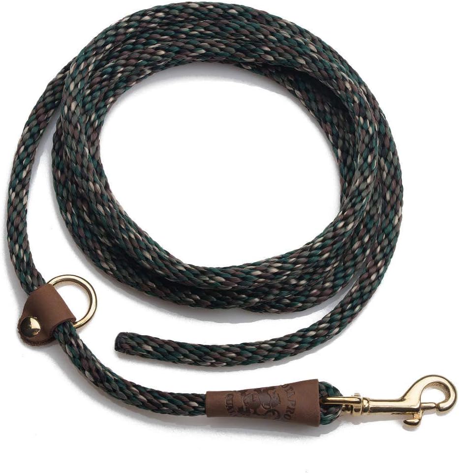 ez lead dog leash