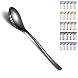 Kyraton Black Dinner Spoons Set of 12