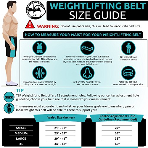 Toronto-Sports-and-Fitness-Weight-Lifting-Belt-with-Bonus-Training-Plan-Strength-Training-Workout-Equipment-for-Men-Premium-Cowhide-Leather-Black