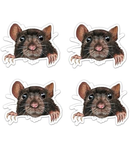 Union Hard Hat Stickers 10 Pack Reflective No Rats No Ball Licking ...