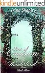 Sins of Omission (The Wonderland Series: Book 3)