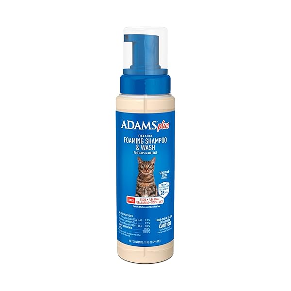 ADAMS PLUS FLEA & TICK FOAMING SHAMPOO & WASH FOR CATS & KITTENS OVER 12 WEEKS, SENSITIVE SKIN FLEA TREATMENT FOR CATS & KITTENS, KILLS ADULT FLEAS, TICKS AND LICE ON CONTACT, 10 OUNCES