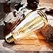 Vintage Edison Bulbs, 40W ST64 Dimmable Light Bulbs, Squirrel Cage Filament with 2700K Soft Warm White Light, 230 Lumens, Retro Light Bulbs with E26 Brass Base, Pack of 6