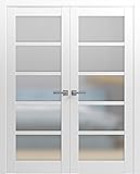 SARTODOORS French Double Panel Lite 56 x 80 with