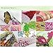 Kisstaker DIY 5D Diamond Sticker Cross Stitch Painting Kits Arts Crafts Rainy Night 42x50cm(16.5x19.5