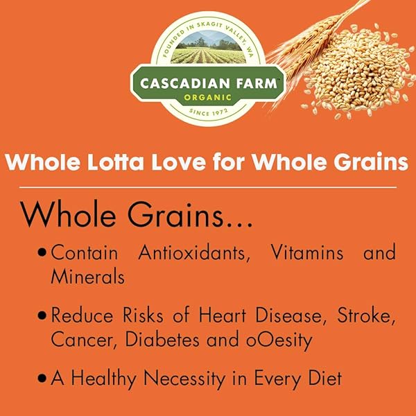 CASCADIAN FARM ORGANIC VANILLA CHIP CHEWY GRANOLA BARS, VALUE SIZE, 10 BARS, 12.3 OZ.