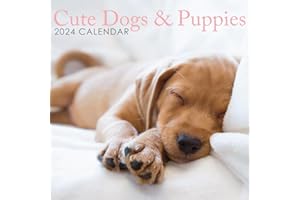 ROCHLI 2024 Cute Dogs Puppies Square Hanging Wall Calendar with Stunning Photography. Daily, Weekly, Monthly 12 Month Planner, Dog Puppy Organizer