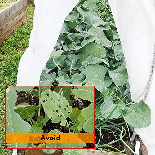 SOLIGT Plant Covers Freeze Protection Floating Row Cover 0.9oz Garden