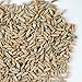 5 Lb Bulk Organic Rye Grain Seeds - Rye Seed for Sprouting Rye Berries, Rye Seeds for Organic Rye Flour, Rye Meal, Rye Pasta, Marble Rye Bread, Rye Grain Berries, Cracked Rye Berries, and Rye Grass