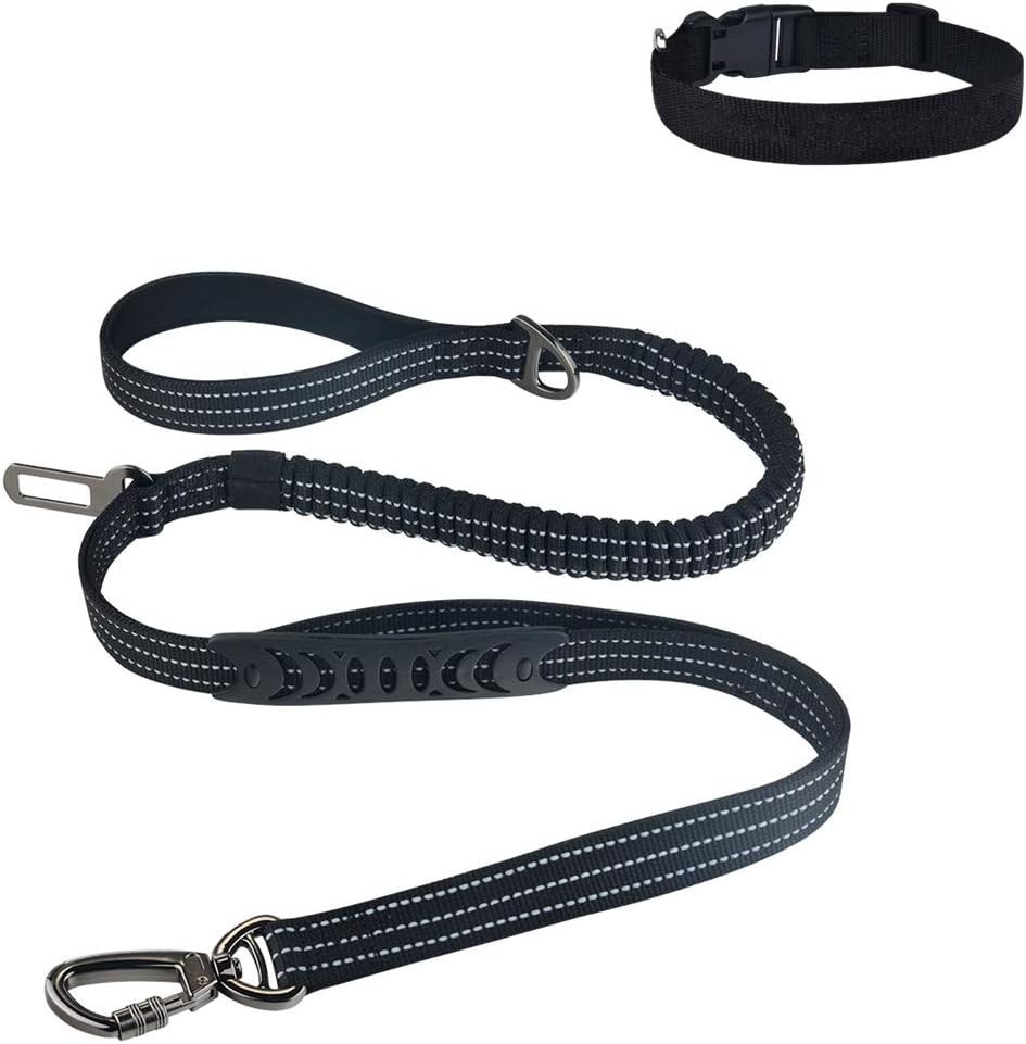 Leash with collar Clearance