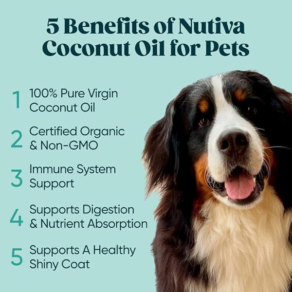 NUTIVA, ORGANIC COCONUT OIL, 15 FL OZ