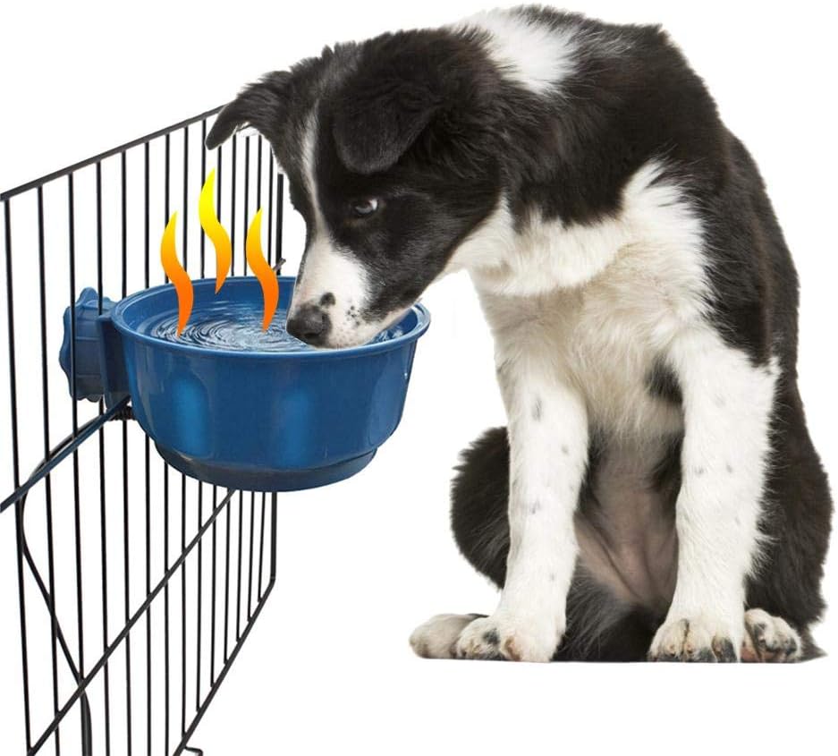 outdoor dog food bowl