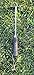Joseph Bentley Traditional Garden Tools Stainless Steel Hand Onion Hoe