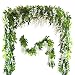 Musdoney 26Ft 4 Pcs Artificial Flowers Silk Wisteria Ivy Vine Green Leaf Hanging Vine Garland for Wedding Party Home Garden Wall Decor (White) primary