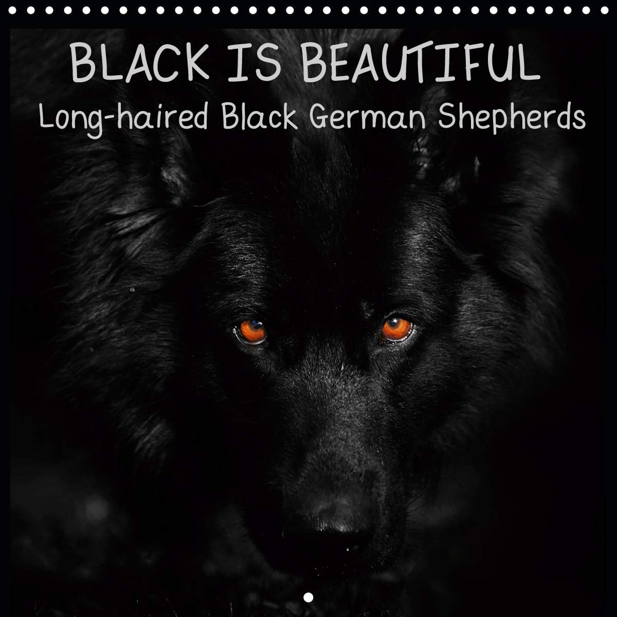 Black Is Beautiful Long Haired Black German Shepherds Wall