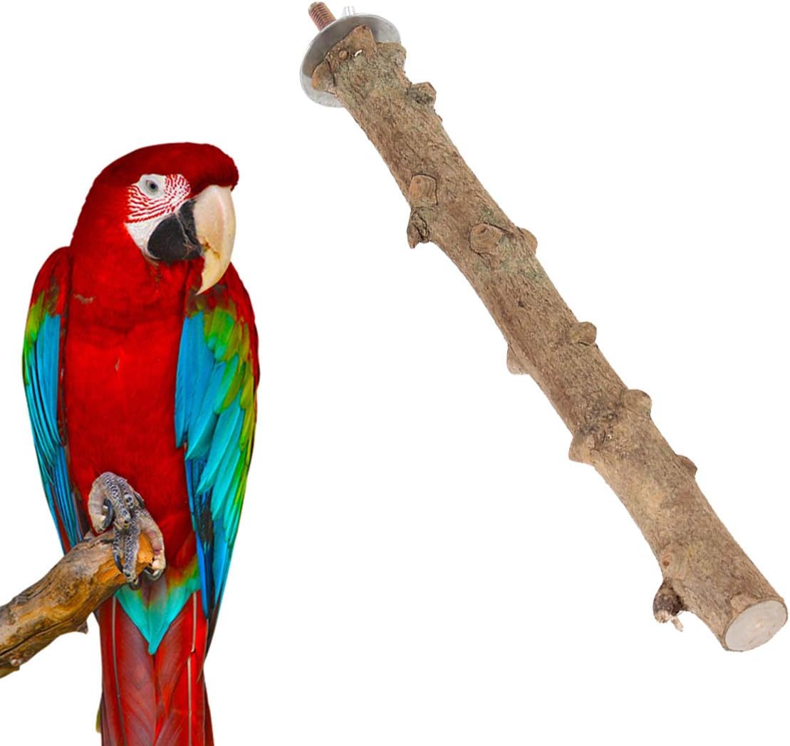 POPETPOP 3Pack Natural Wood Bird Perch-Parrot Wood Rough Perches Paw Grinding Stick - Image 3