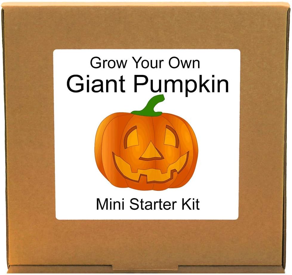 Grow Your Own Giant Pumpkin Plant Kit. Seeds Propagation Gardening Gift for Mum dad - Indoor Plant Growing Kit for Gardeners