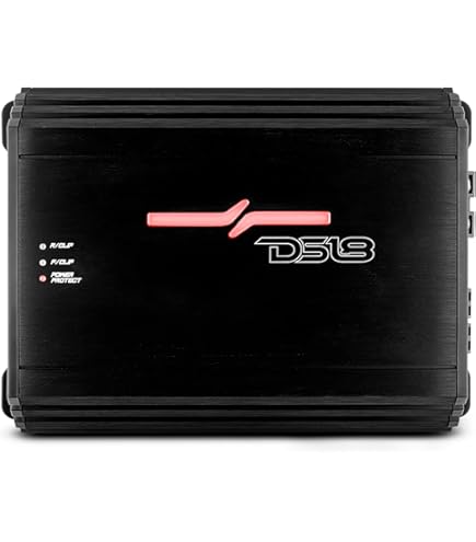 Amazon.com: DS18 ZXI.1XXL Car Audio Bass Amplifier - Class D
