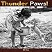 Thunder Paws! (Cat Chronicles) (Volume 1) by Bill Hess