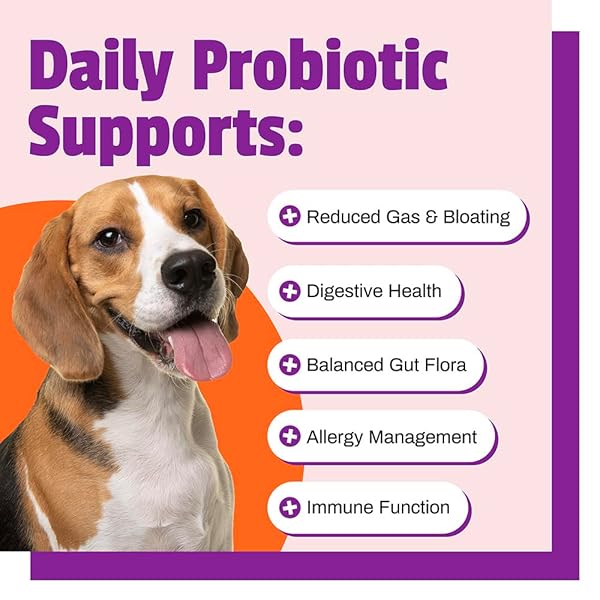 PET NATURALS DAILY PROBIOTIC FOR DOGS, 120M CFUS – PRE AND PROBIOTICS FOR DOGS DIGESTIVE HEALTH, GUT HEALTH, IMMUNE SUPPORT, DIARRHEA, ALLERGIES AND ITCHING – 60 CHEWS, DUCK FLAVOR
