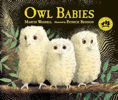 Bébés Chouettes: Waddell, Martin, Benson, Patrick, Finkenstaedt