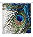 Goodbath Shower Curtain,Peacock Feather Eye Waterproof Fabric Bathroom Shower Curtains,72 x 72 Inch, Colorful
