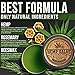 Hemp Oil Salve for Pain Relief - 2000 Mg - Fast Acting & Natural - Knee, Muscle, Joint, Neck & Back Pain Relief - Premium Hemp Oil Made in USA - Anti Inflammatory Hemp Balm - MAX Efficacy - No GMO