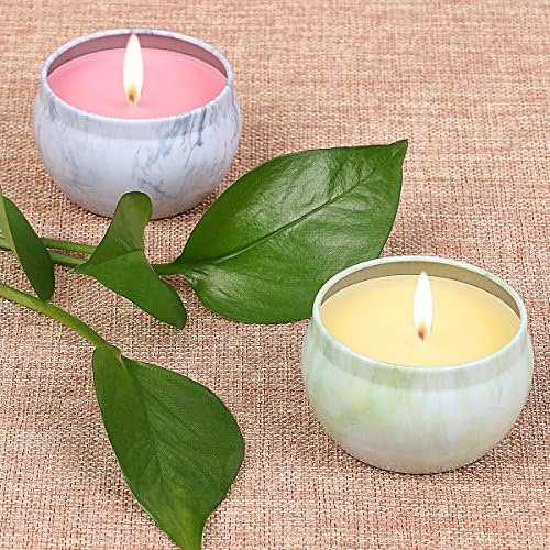 LOHOTEK Scented Candles, Pure Soy Wax Soy Travel Tins Candles with Peach & Mango Fragrances, 2 Pack Gift Set Candles